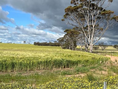 Property . 'Gardens' Part, Shackleton WA 6386 IMAGE 0