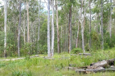 Property Lot 5 Long Gully Road, DRAKE NSW 2469 IMAGE 0
