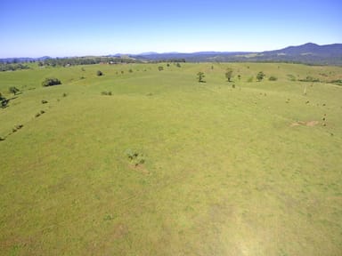 Property MILLAA MILLAA QLD 4886 IMAGE 0