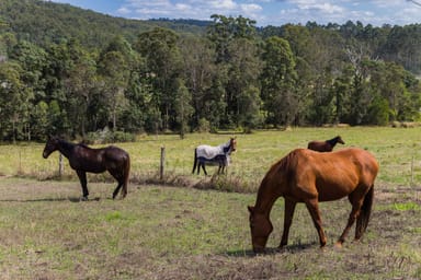 Property Belli Park QLD 4562 IMAGE 0