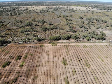 Property Lot 48 Menindee /Wilcannia Road, Menindee NSW 2879 IMAGE 0