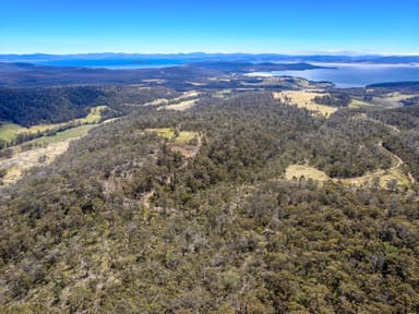 Property "Mundys" 475 Saltwater River Road, SALTWATER RIVER TAS 7186 IMAGE 0