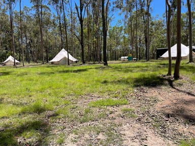 Property 264 Cooks Road, South Isis QLD 4660 IMAGE 0