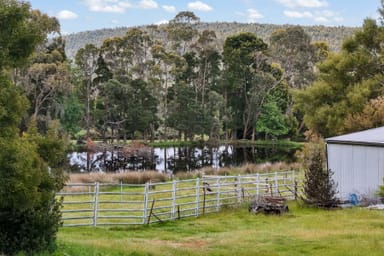 Property 646 Long Plains Road, BRIDGENORTH TAS 7277 IMAGE 0