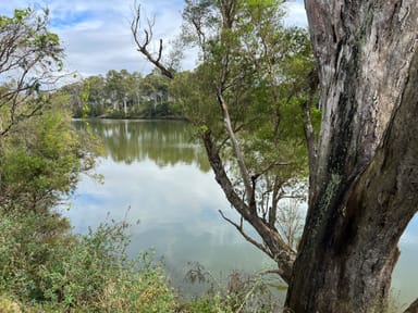 Property 970 River Road, FERNEY QLD 4650 IMAGE 0