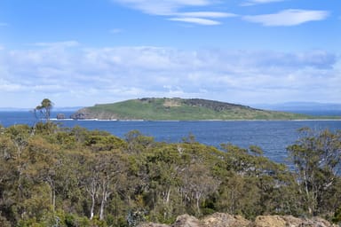 Property 101A Skeggs Avenue, White Beach TAS 7184 IMAGE 0