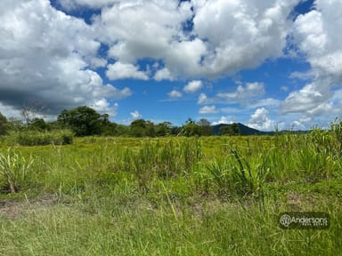 Property Lot 88 Midgenoo Feluga Road, Midgenoo QLD 4854 IMAGE 0