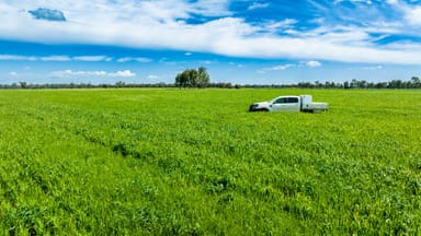 Property 'Arden Vale' Walbundrie Road, Walla Walla NSW 2659 IMAGE 0