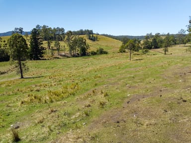 Property Lot 162 Larsson Road, Tunglebung NSW 2469 IMAGE 0