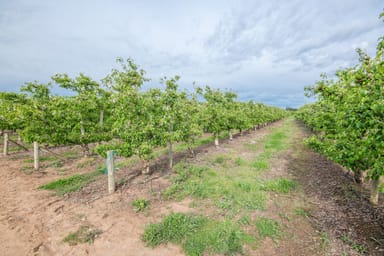 Property 170 Prentice Road, Orrvale VIC 3631 IMAGE 0