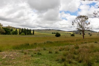 Property 140 Ohio North Road, WALCHA NSW 2354 IMAGE 0