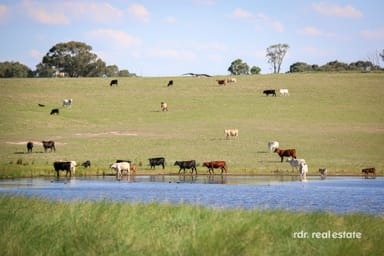 Property 109 Gowrie Road, Inverell NSW 2360 IMAGE 0