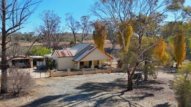 Property 1133 White Park Rd, Wirrabara SA 5481 IMAGE 0