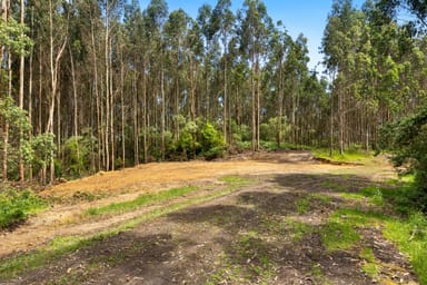 Property 165 Hiders Access Road, YUULONG VIC 3237 IMAGE 0