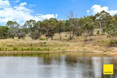 Property 6 Rocky Glen Road, Bungendore NSW 2621 IMAGE 0