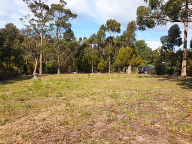 Property Lot 7 Cray Point Parade, EGGS AND BACON BAY TAS 7112 IMAGE 0