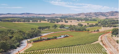 Property 1234 Barossa Valley Way, Lyndoch SA 5351 IMAGE 0