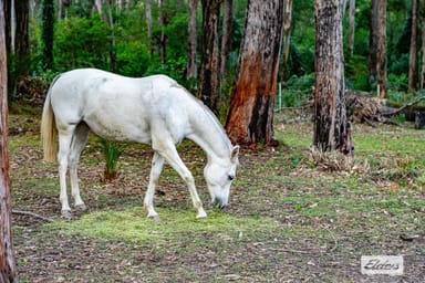 Property 113 Crosby Drive, Batehaven NSW 2536 IMAGE 0