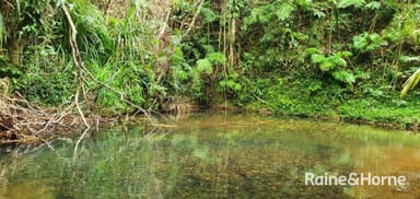 Property 1498 Cape Tribulation Road, Cow Bay QLD 4873 IMAGE 0