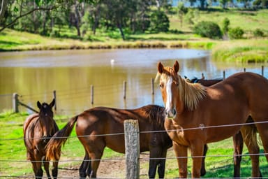 Property 3483 Beaudesert Nerang Road, Biddaddaba QLD 4275 IMAGE 0