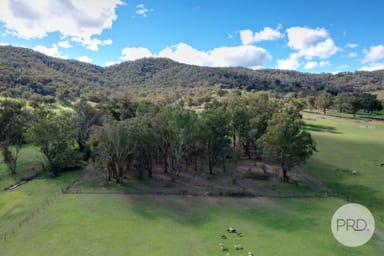 Property lot 6, dp Nundle Road, Dungowan NSW 2340 IMAGE 0