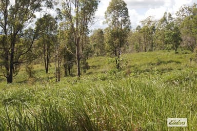 Property 50, Stegemann Road, Upper Glastonbury QLD 4570 IMAGE 0