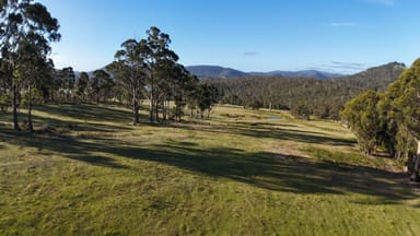 Property 2090 Arthur Highway, Copping TAS 7174 IMAGE 0
