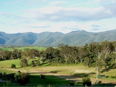 Property 98 Snowy Mountains Hwy, Bemboka NSW 2550 IMAGE 0