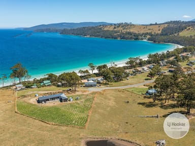 Property 67 Dunn Drive, SURVEYORS BAY TAS 7116 IMAGE 0