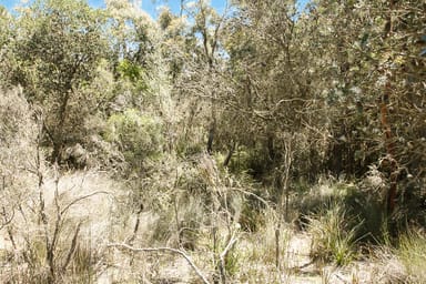 Property PID 7384430 North Ansons Road, GLADSTONE TAS 7264 IMAGE 0