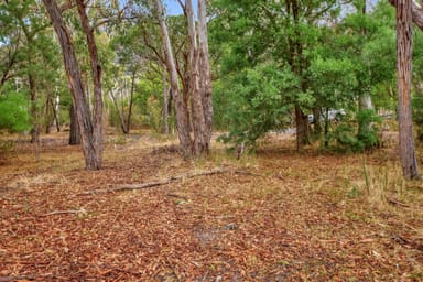 Property 75 High Rd, Halls Gap VIC 3381 IMAGE 0