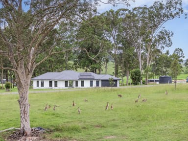 Property 11 Burrawang Close, EAST GRESFORD NSW 2311 IMAGE 0