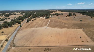 Property Lot 250 Nabaroo Road, COWALLA WA 6503 IMAGE 0