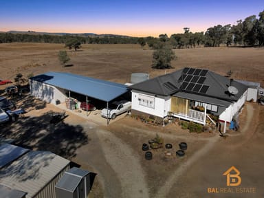 Property 1985 Seymour-Tooborac Road, Tooborac VIC 3522 IMAGE 0
