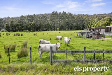 Property Lot 1 Huon Highway, GEEVESTON TAS 7116 IMAGE 0