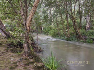 Property 701 Moleton Road, Lowanna NSW 2450 IMAGE 0