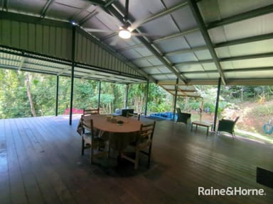 Property Lot 241 White Beech Road, Cow Bay QLD 4873 IMAGE 0