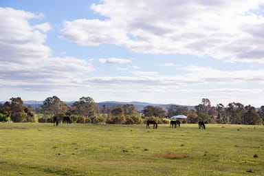 Property Lot 4 Axe Creek Road, Axe Creek VIC 3551 IMAGE 0