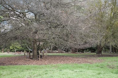 Property 87 Rodger Place, BUSHFIELD VIC 3281 IMAGE 0