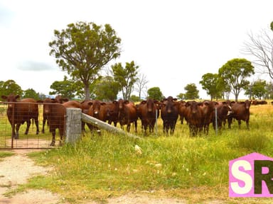 Property 176 Jacksons Road, Guyra NSW 2365 IMAGE 0