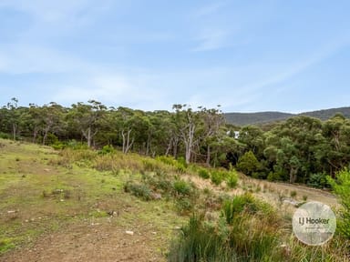 Property 16 Albert Street, EAGLEHAWK NECK TAS 7179 IMAGE 0