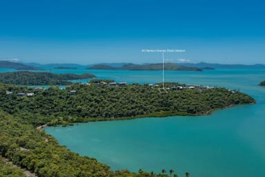 Property 40 Harbour Avenue, Shute Harbour QLD 4802 IMAGE 0