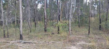 Property 3359 Lowmead Road, LOWMEAD QLD 4676 IMAGE 0