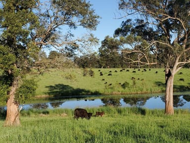 Property ROLLANDS PLAINS NSW 2441 IMAGE 0