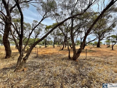 Property Lot 31 & Lot 32 Citron Avenue, Muluckine WA 6401 IMAGE 0