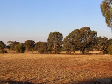 Property 28 Deas Lane, Rutherglen VIC 3685 IMAGE 0