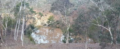 Property 266 Strawberry Creek Road, WINDELLAMA NSW 2580 IMAGE 0