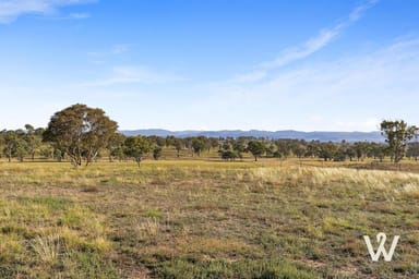 Property 12 Belleview Drive, Murrumbateman NSW 2582 IMAGE 0