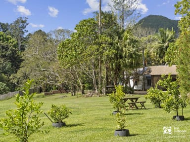 Property 64 Mount Warning Road, Mount Warning NSW 2484 IMAGE 0