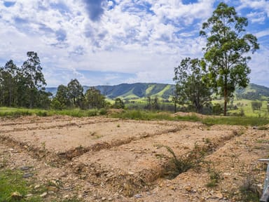 Property 555 Moores Road, Monkerai NSW 2415 IMAGE 0